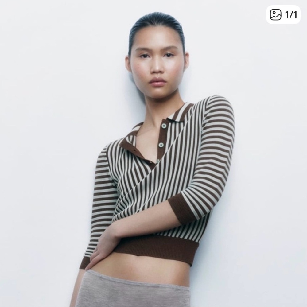 Zara Chocolate and Cream Striped polo Top